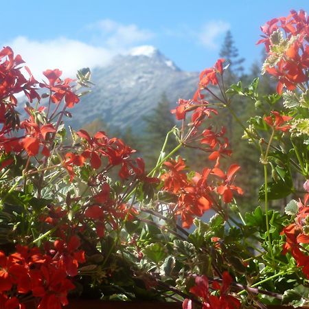Erika Penzion Vysoké Tatry المظهر الخارجي الصورة