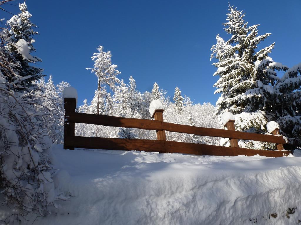 Erika Penzion Vysoké Tatry المظهر الخارجي الصورة
