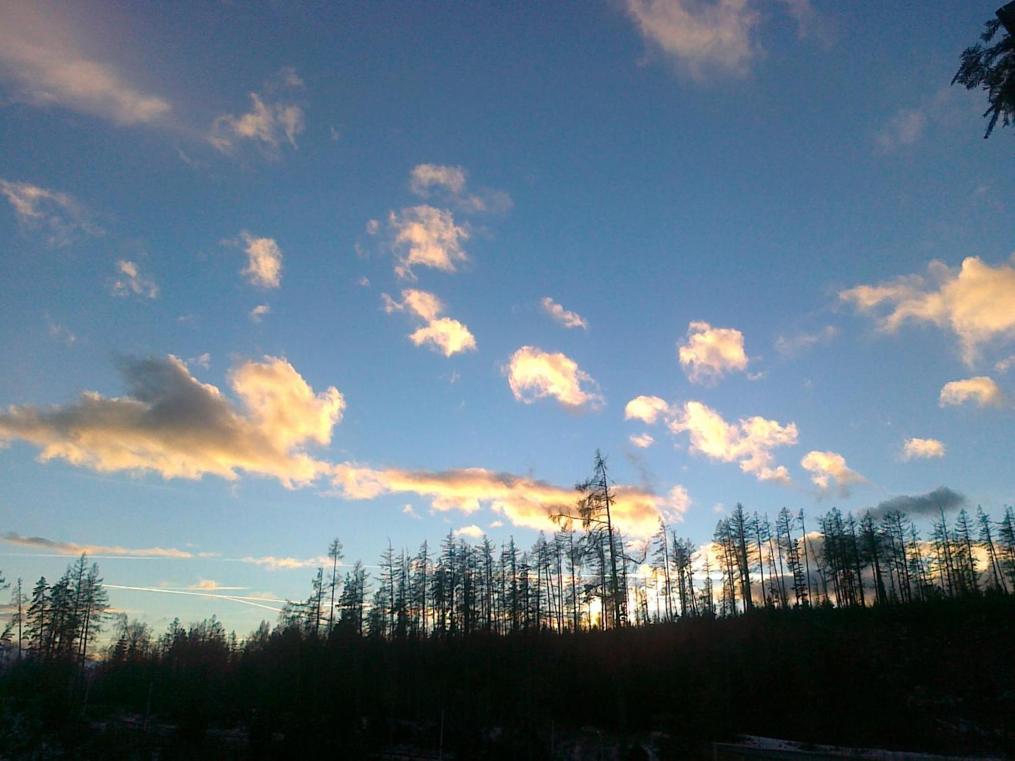Erika Penzion Vysoké Tatry المظهر الخارجي الصورة