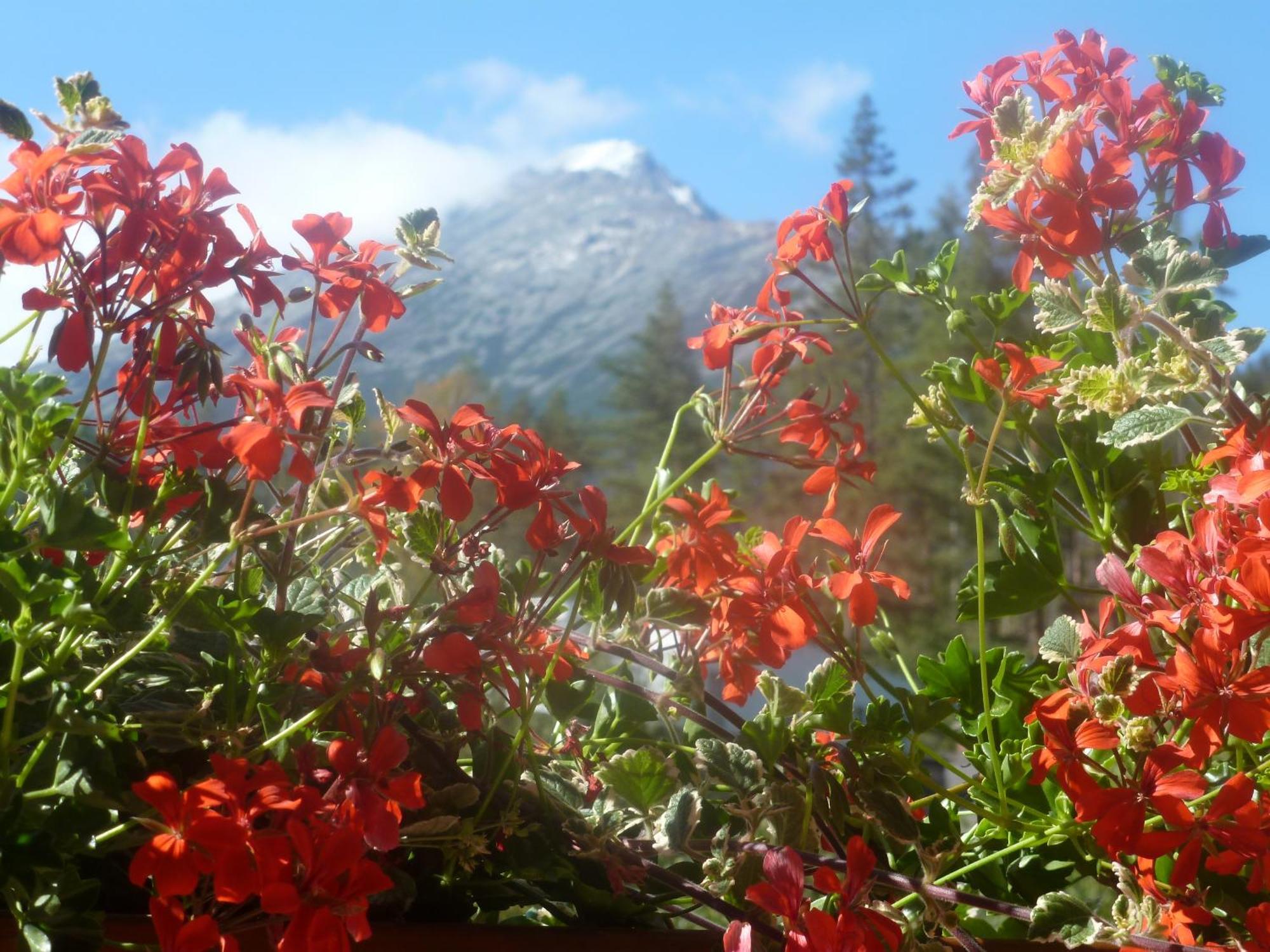 Erika Penzion Vysoké Tatry المظهر الخارجي الصورة